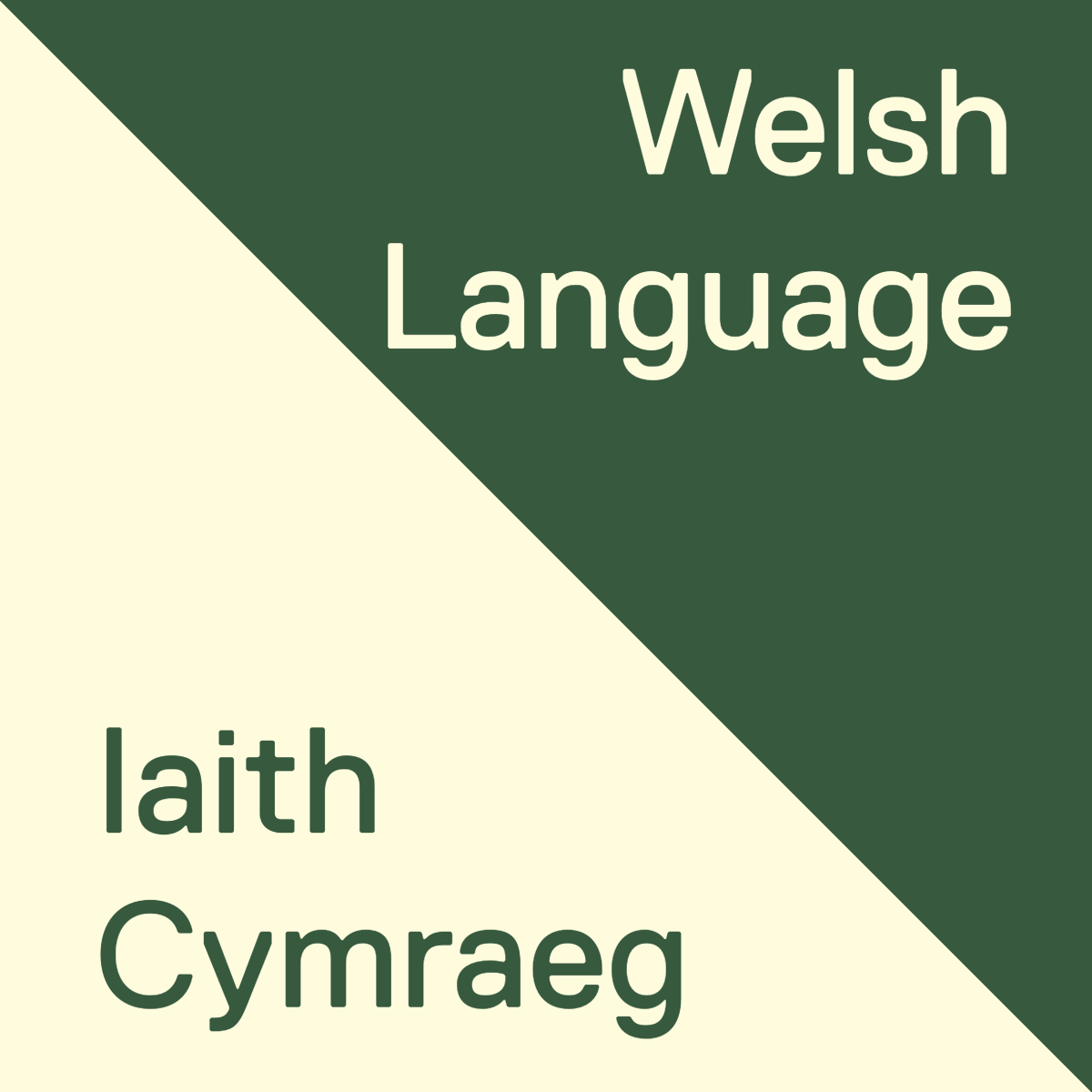 Welsh Language– MOSTYN