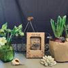 Badger Plant Pot Companions from Lily Faith for sale at Mostyn