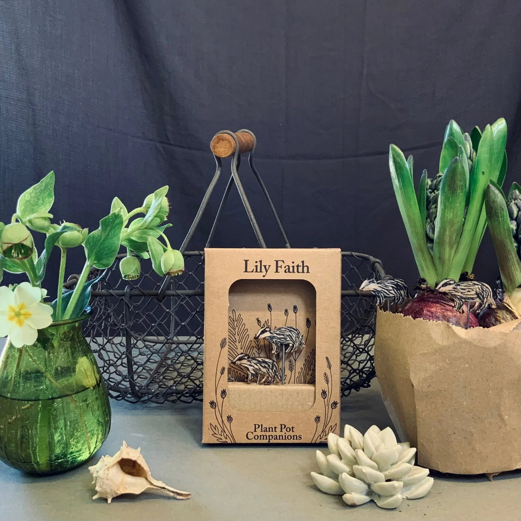 Badger Plant Pot Companions from Lily Faith for sale at Mostyn