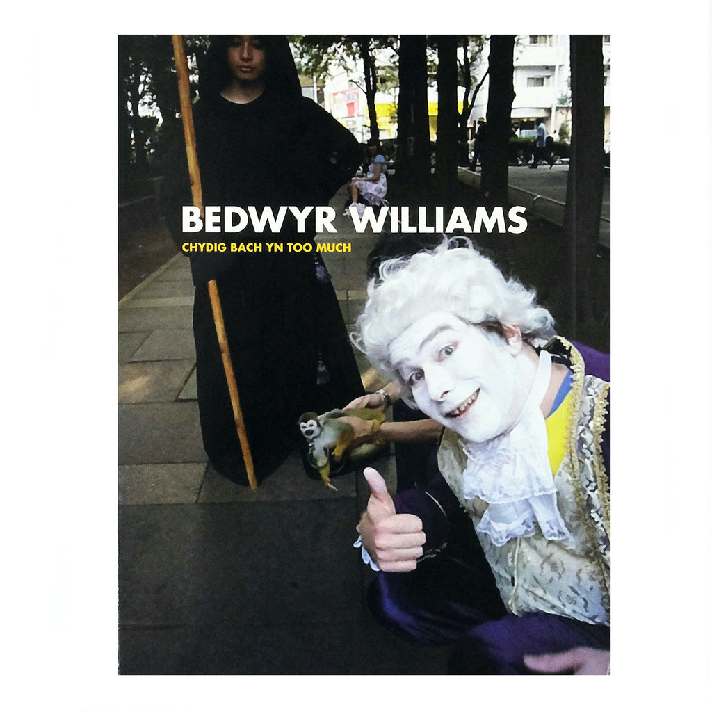 Bedwyr Williams Chydig bach yn too much by Bedwyr Williams and Adam Sutherland for sale at Mostyn