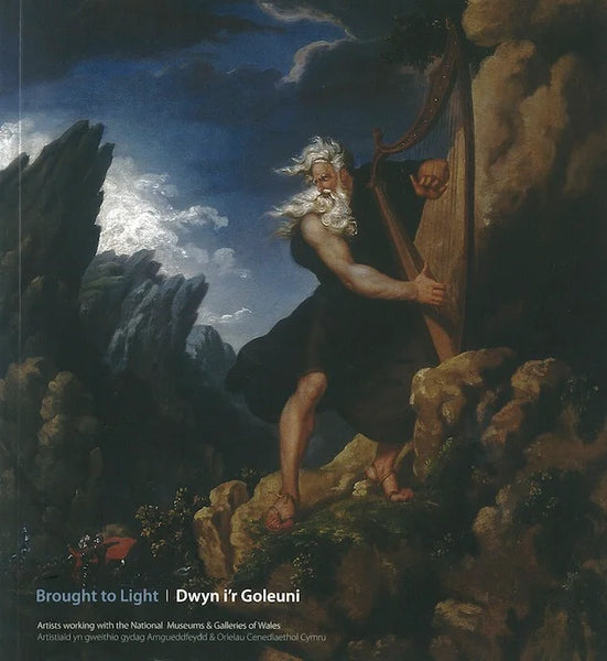Brought to Light Artists working with the National Museums and Galleries of Wales by Michael Tooby and Martin Barlow for sale at Mostyn