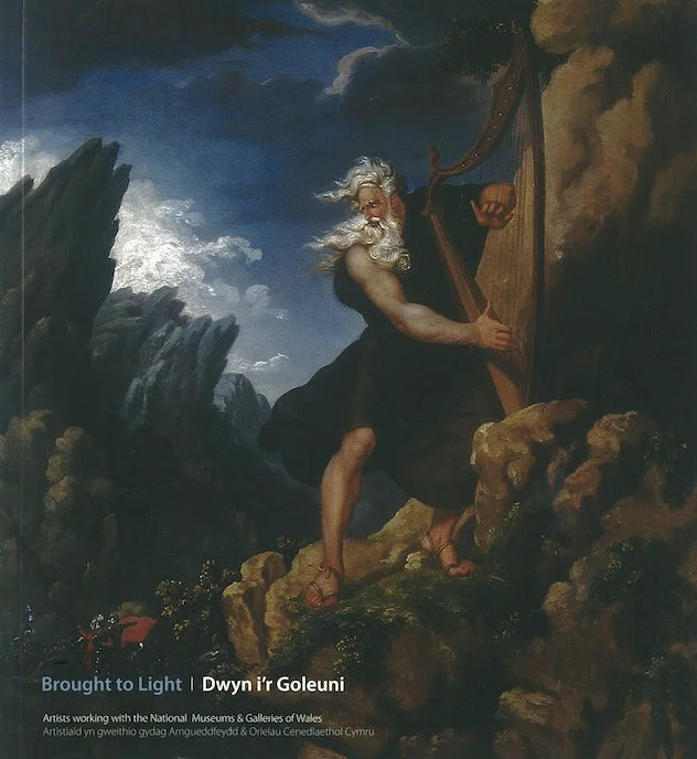 Brought to Light Artists working with the National Museums and Galleries of Wales by Michael Tooby and Martin Barlow for sale at Mostyn