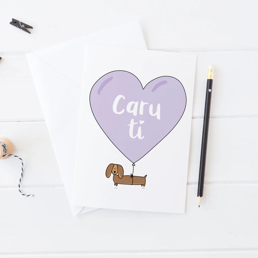 Caru Ti Love You Dachshund Welsh Valentine Card from Draenog for sale at Mostyn 2
