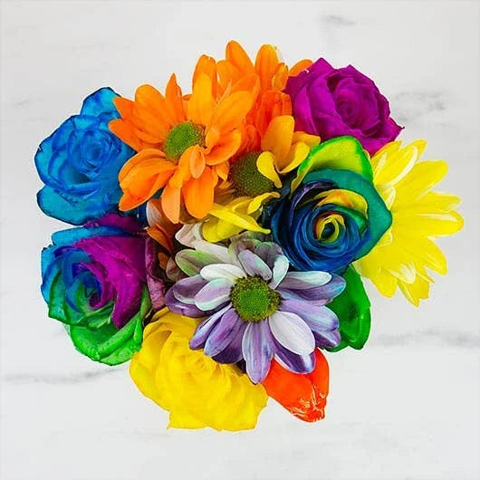 DIY Rainbow Flower Kit by Gift Republic for sale at Mostyn