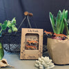Fox Plant Pot Companions from Lily Faith for sale at Mostyn