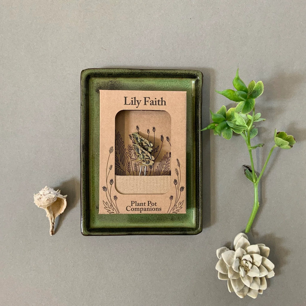 Frog Plant Pot Companions from Lily Faith for sale at Mostyn