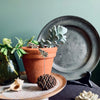 Frog Plant Pot Companions from Lily Faith for sale at Mostyn