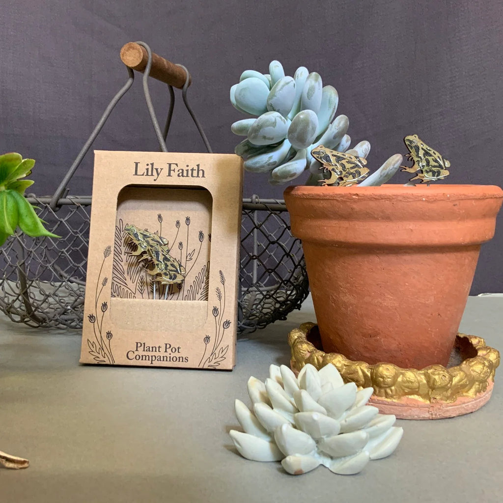 Frog Plant Pot Companions from Lily Faith for sale at Mostyn
