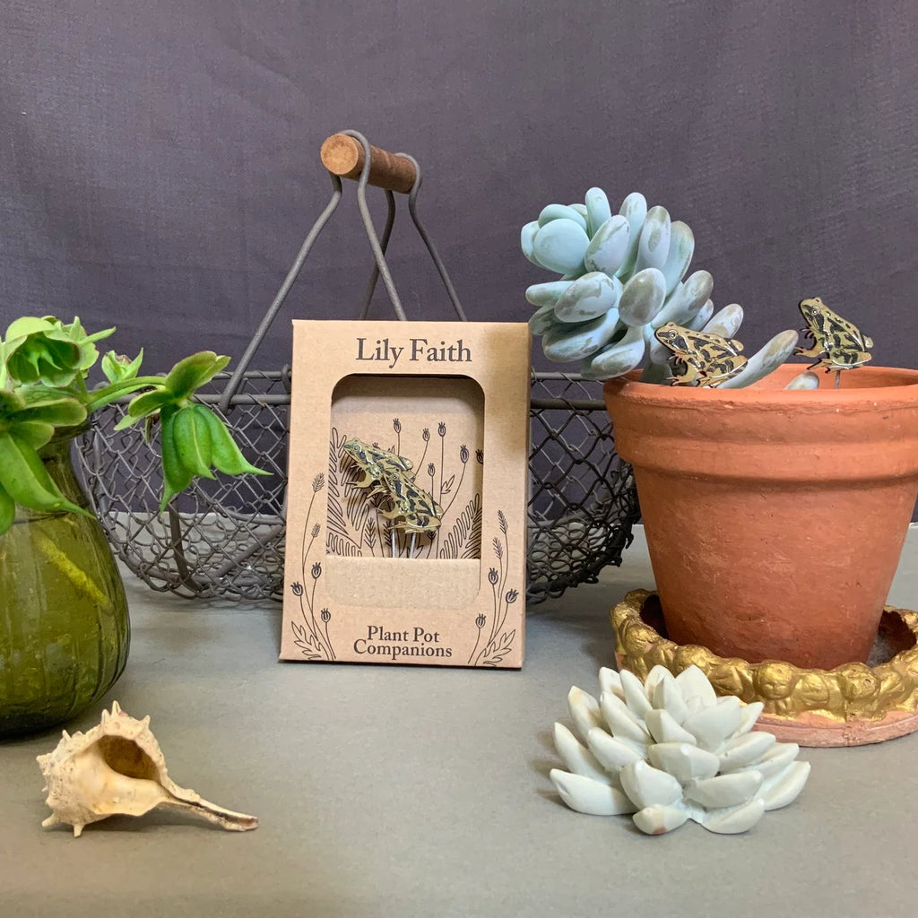 Frog Plant Pot Companions from Lily Faith for sale at Mostyn