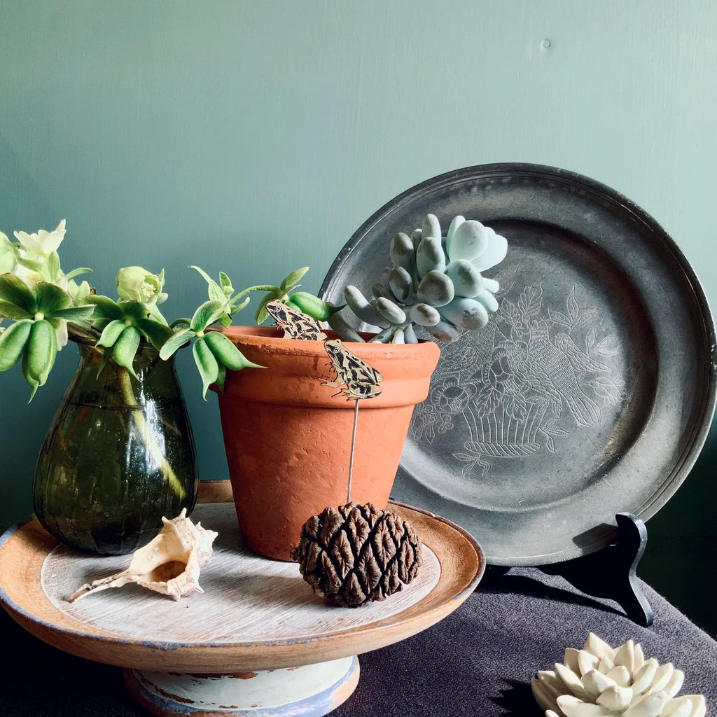 Frog Plant Pot Companions from Lily Faith for sale at Mostyn