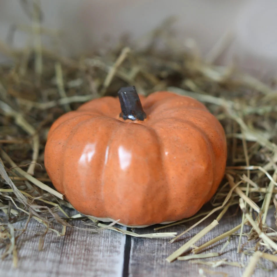 A Ceramic Pumpkin Autumn Decoration Small Speckled Orange from Glosters pottery for sale at Mostyn.