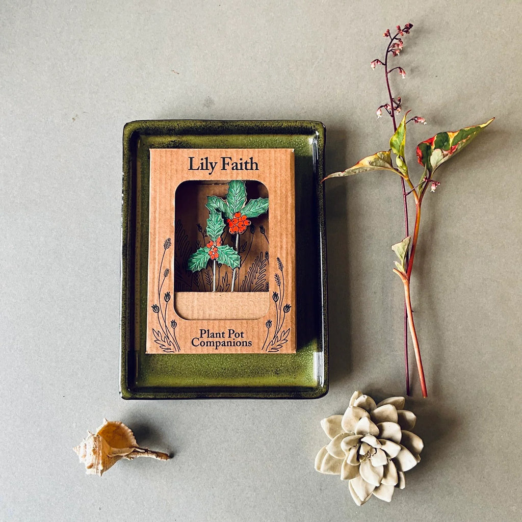 Holly Leaf Plant Pot Companions from Lily Faith for sale at Mostyn