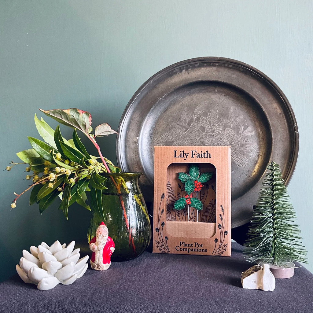 Holly Leaf Plant Pot Companions from Lily Faith for sale at Mostyn