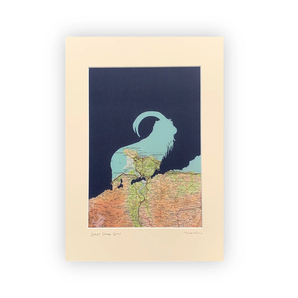 A Great Orme Llandudno Goat Unframed Mounted A3 Giclée Art Print from Kate Thornton for sale at Mostyn.