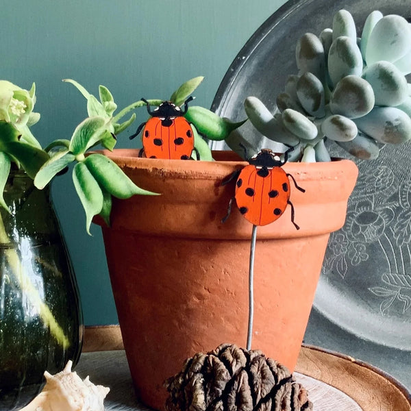 Ladybird Plant Pot Companions from Lily Faith for sale at Mostyn