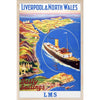 Liverpool and North Wales Railway Poster Wooden Postcard from The Wooden Postcard Company for sale at Mostyn