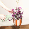 Make Your Own Leather DIY Plant Hanger Craft Kit from Artisans for sale at Mostyn