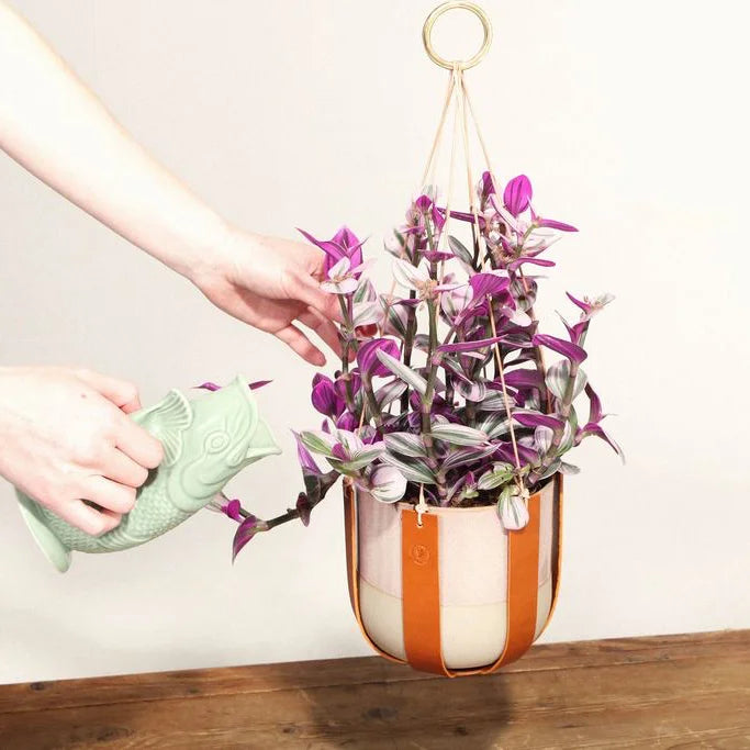 Make Your Own Leather DIY Plant Hanger Craft Kit from Artisans for sale at Mostyn