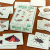 Nature Trail Memory Card Game from Rex London for sale at Mostyn