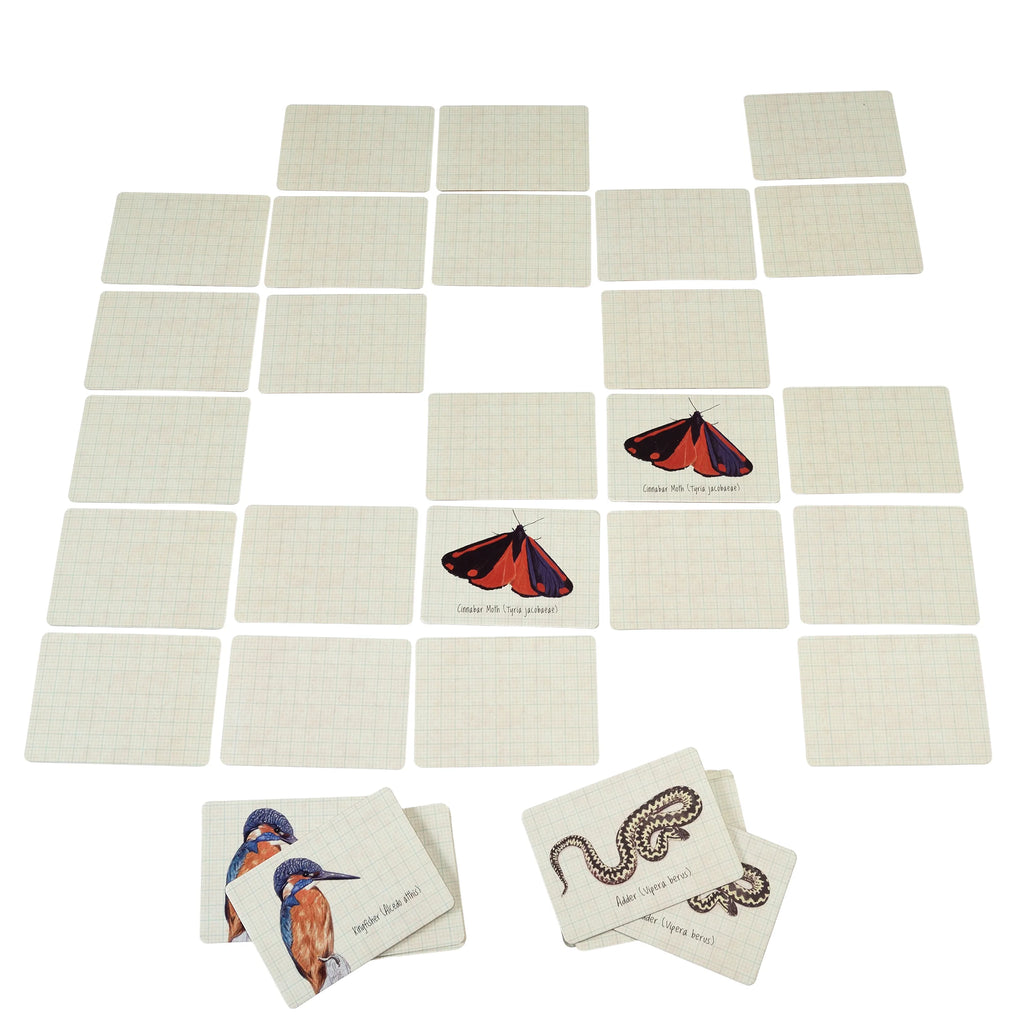Nature Trail Memory Card Game from Rex London for sale at Mostyn