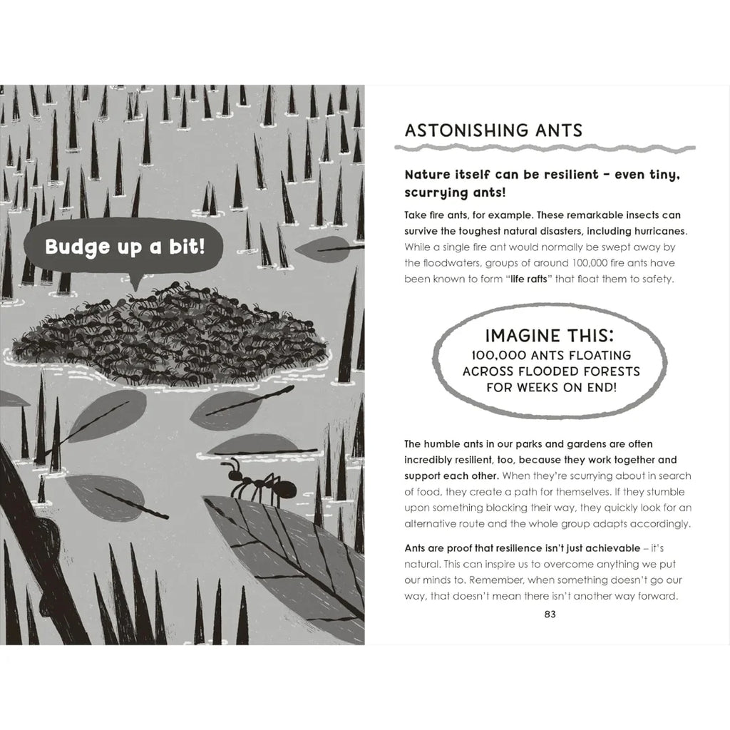 Nature is the Answer by Chris Packham from Gardners Books for sale at Mostyn