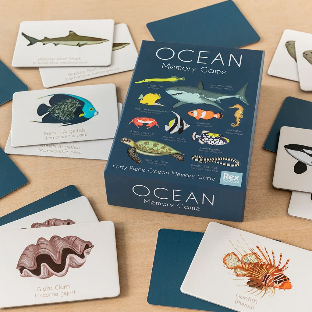 Ocean Memory Card Game from Rex London for sale at Mostyn
