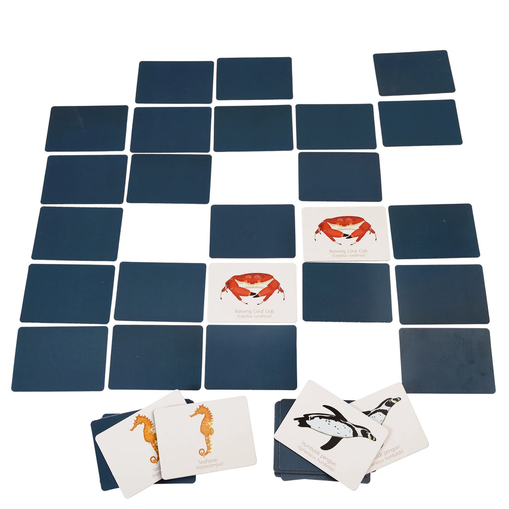 Ocean Memory Card Game from Rex London for sale at Mostyn