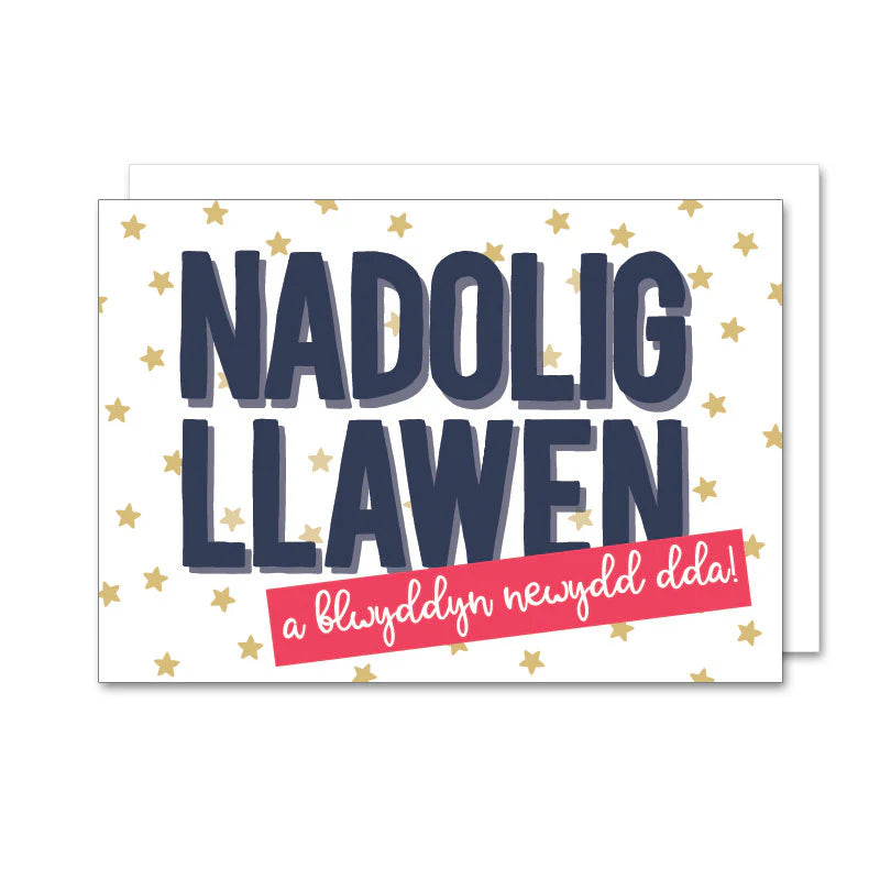 Pack of 4 Mini Welsh Language Christmas Cards Nadolig Llawen a Blwyddyn Newydd Dda from Draenog for sale at Mostyn