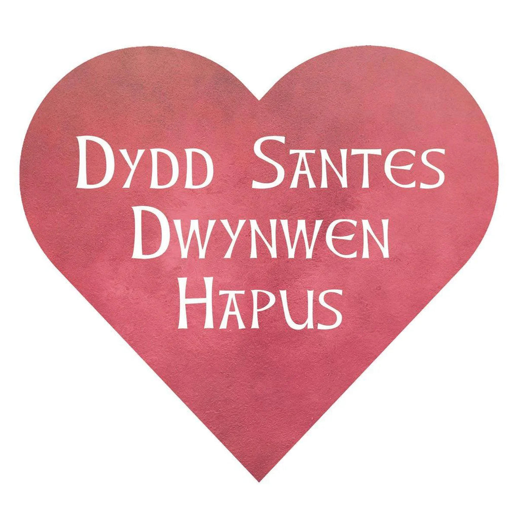Santes Dwynwen Hapus Love Heart Welsh Valentine's Card from The Welsh Gift Shop for sale at Mostyn