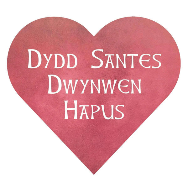 Santes Dwynwen Hapus Love Heart Welsh Valentine's Card from The Welsh Gift Shop for sale at Mostyn