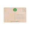Spring Flowers Sustainable Wooden Postcard from The Wooden Postcard Company for sale at Mostyn