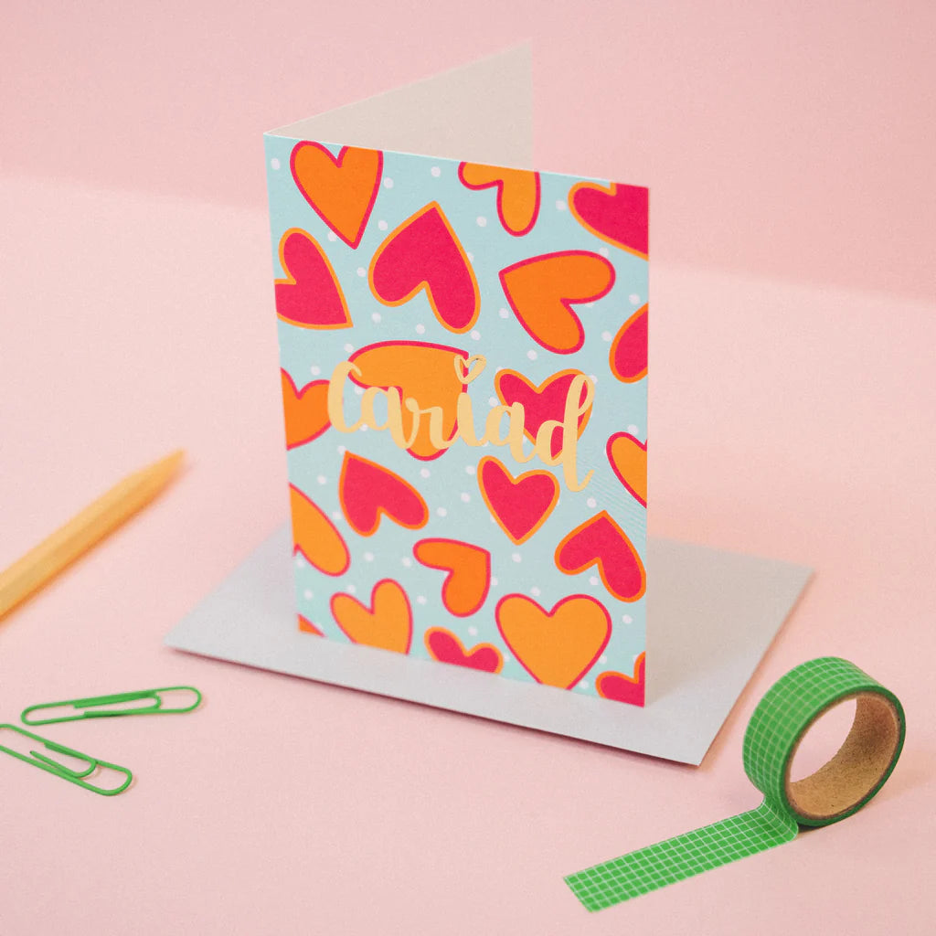 Welsh Love Cariad Valentines Card from Draenog for sale at Mostyn 2