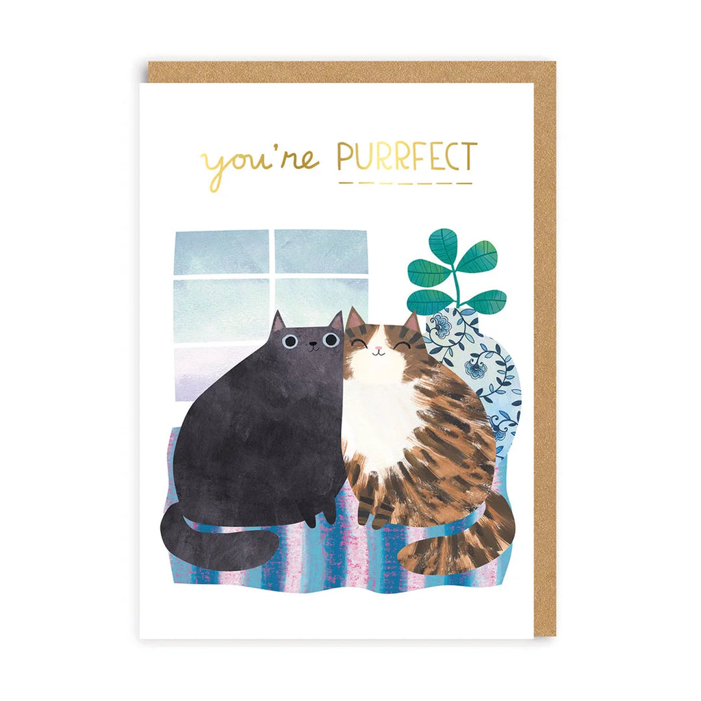 You're Purrfect Cats Greeting Card from Ohh Deer for sale at Mostyn