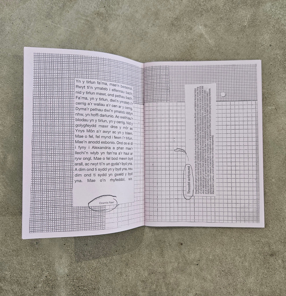 holescapes \ twlldirweddau zine from Owain Train McGilvary and Dylan Huw for sale at Mostyn