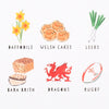 Digital print (detail). Illustration. Daffodils, welsh cakes, leeks, bara brith, dragon and rugby on white background.